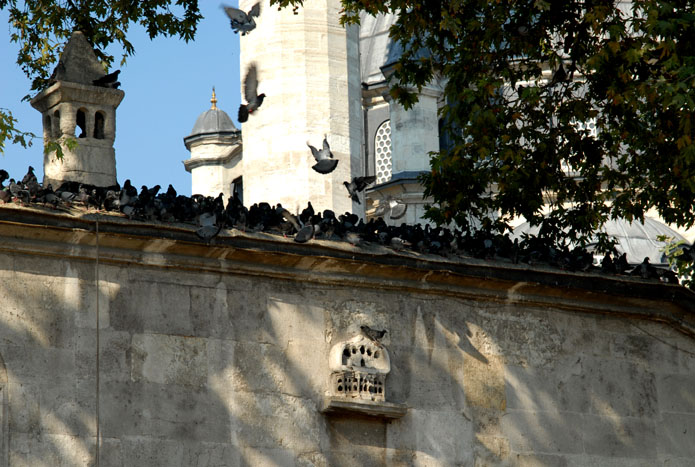 kuş evi- eyüp sultan camii